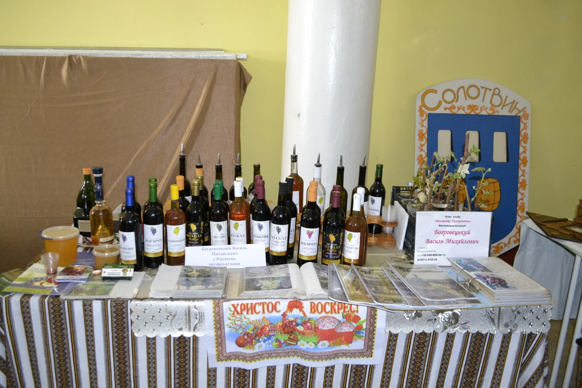 У Солотвинській громаді відбувся культурний захід "Відкриваємо двері творчим особистостям".