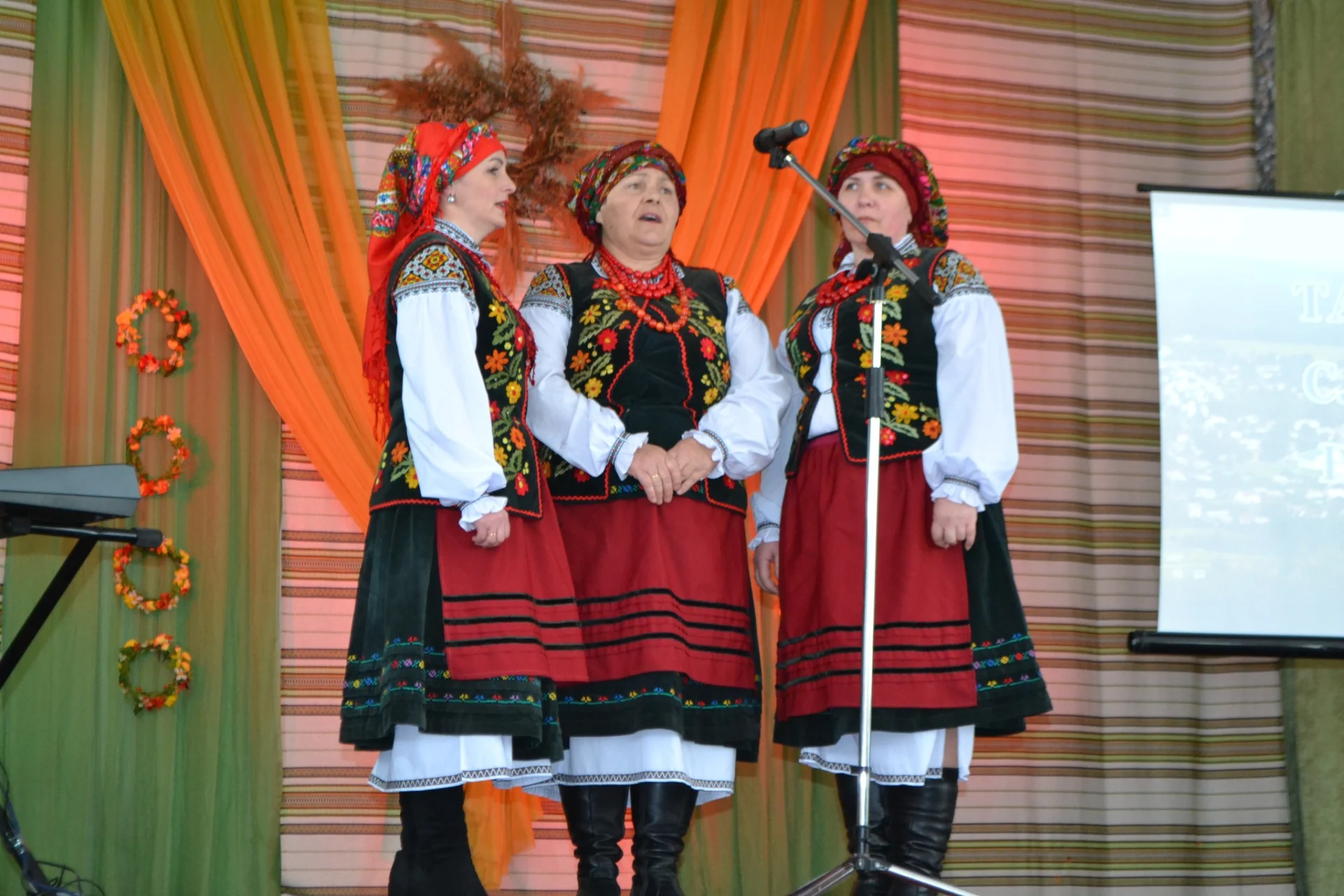 У Солотвинській громаді відбувся культурний захід "Відкриваємо двері творчим особистостям".