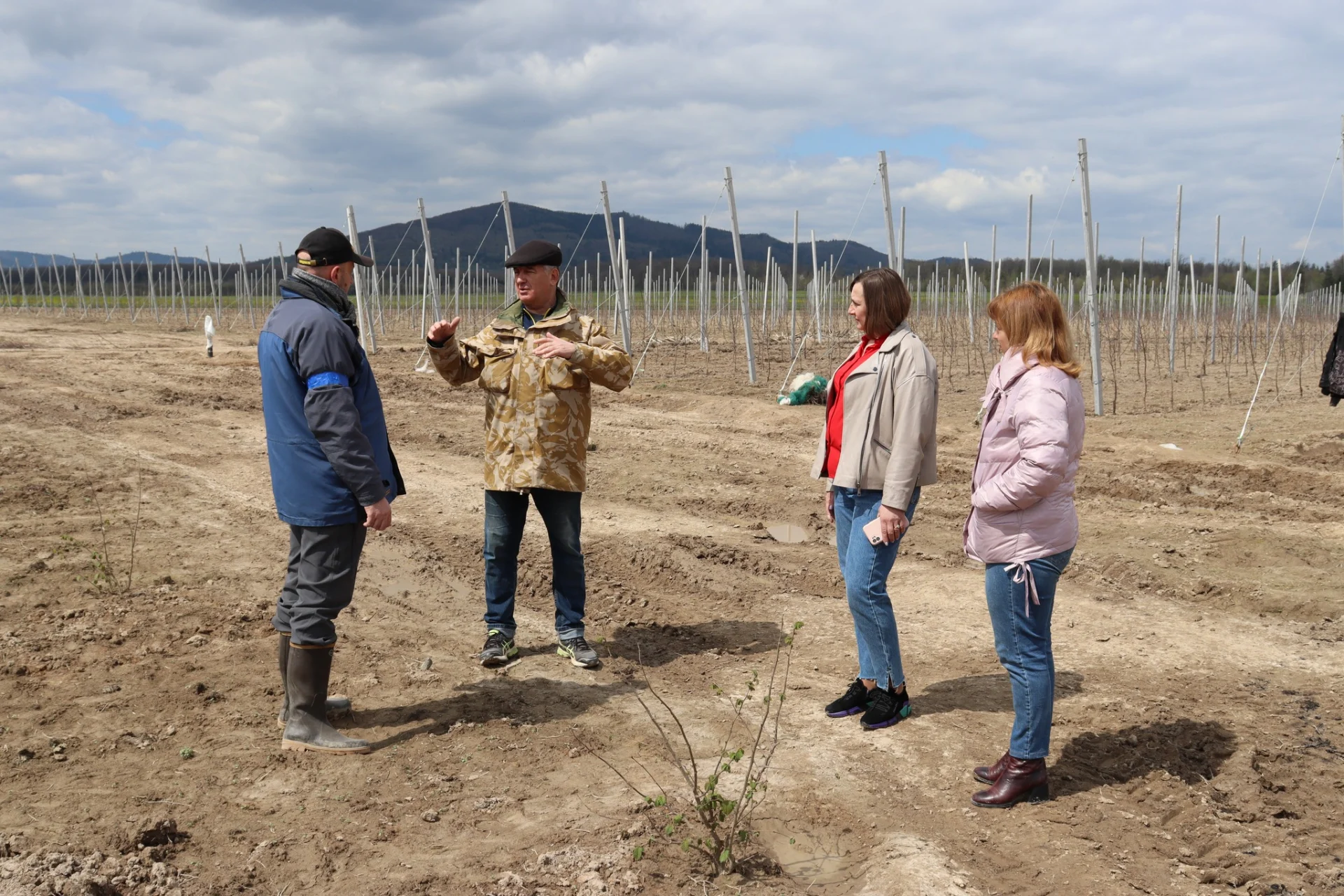В Солотвинській територіальній громаді почали висадку фруктових дерев.