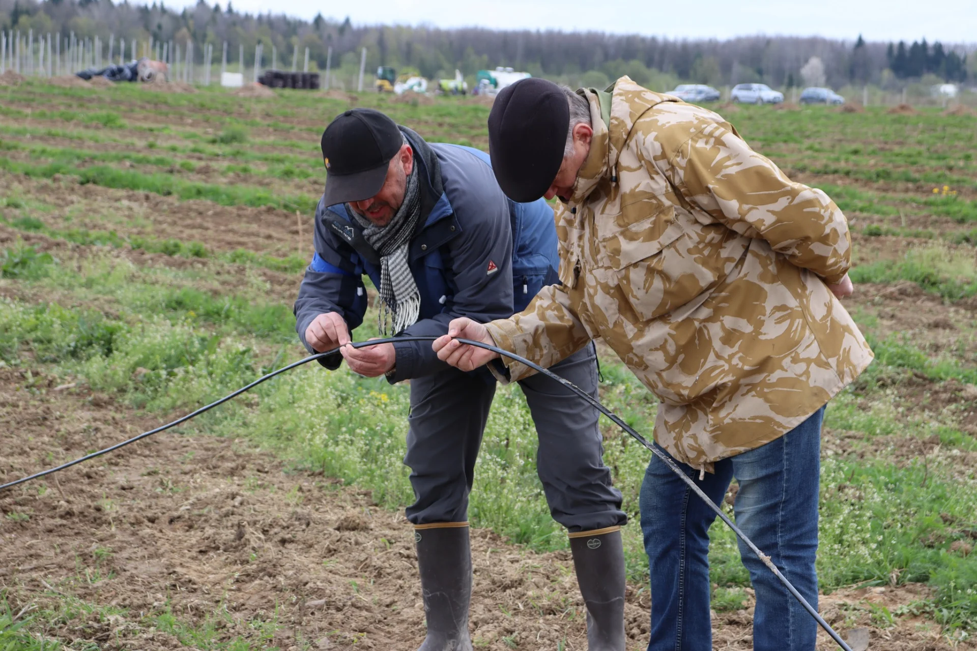 В Солотвинській територіальній громаді почали висадку фруктових дерев.