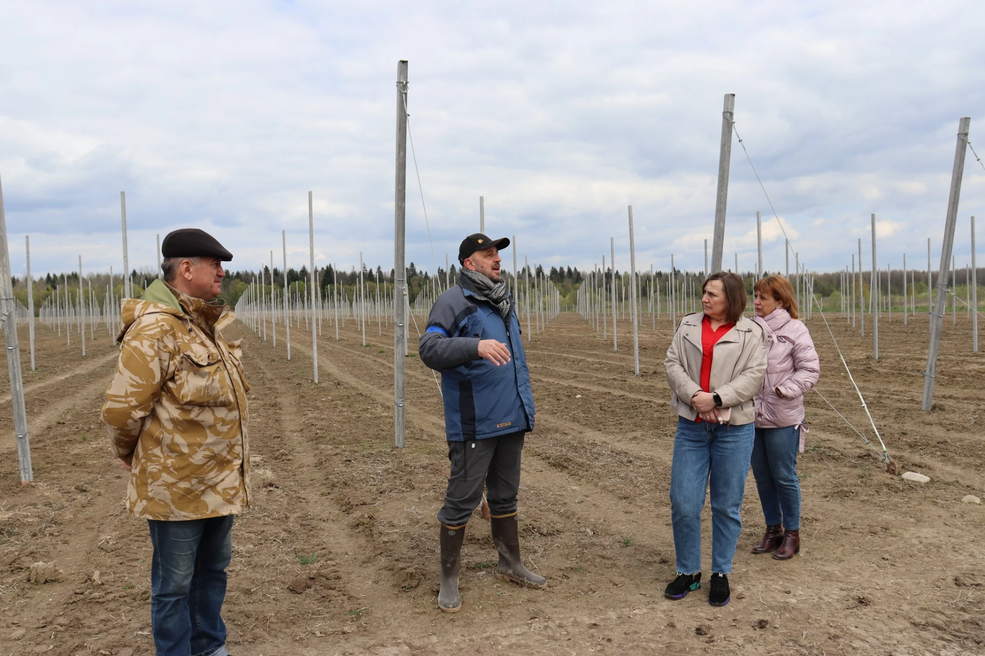 В Солотвинській територіальній громаді почали висадку фруктових дерев.