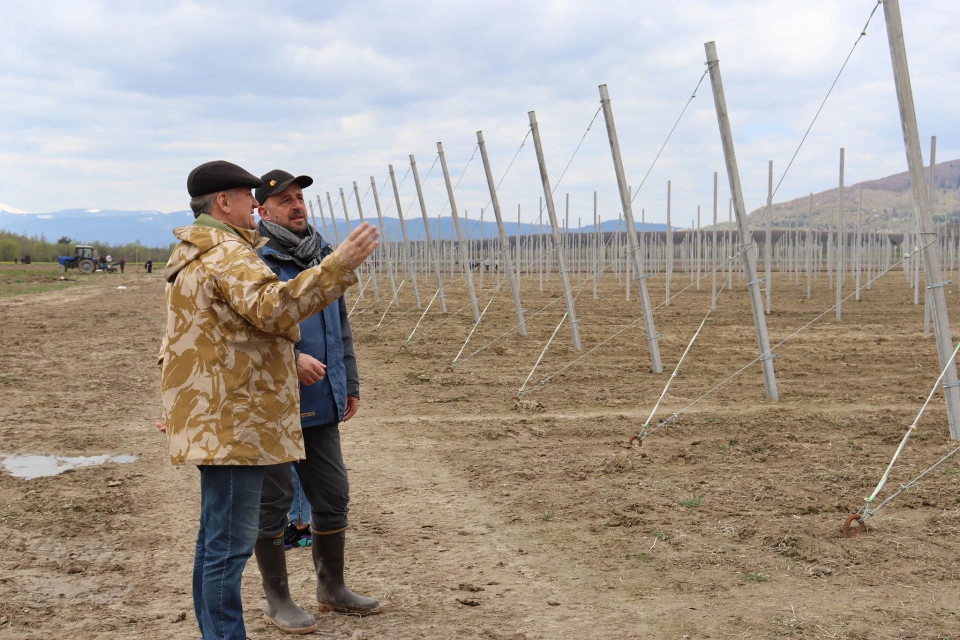 В Солотвинській територіальній громаді почали висадку фруктових дерев.