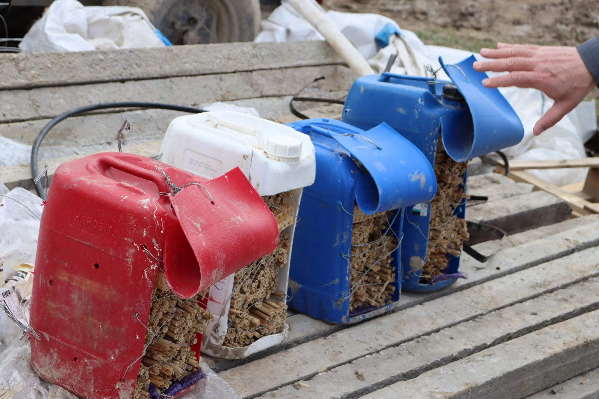 В Солотвинській територіальній громаді почали висадку фруктових дерев.
