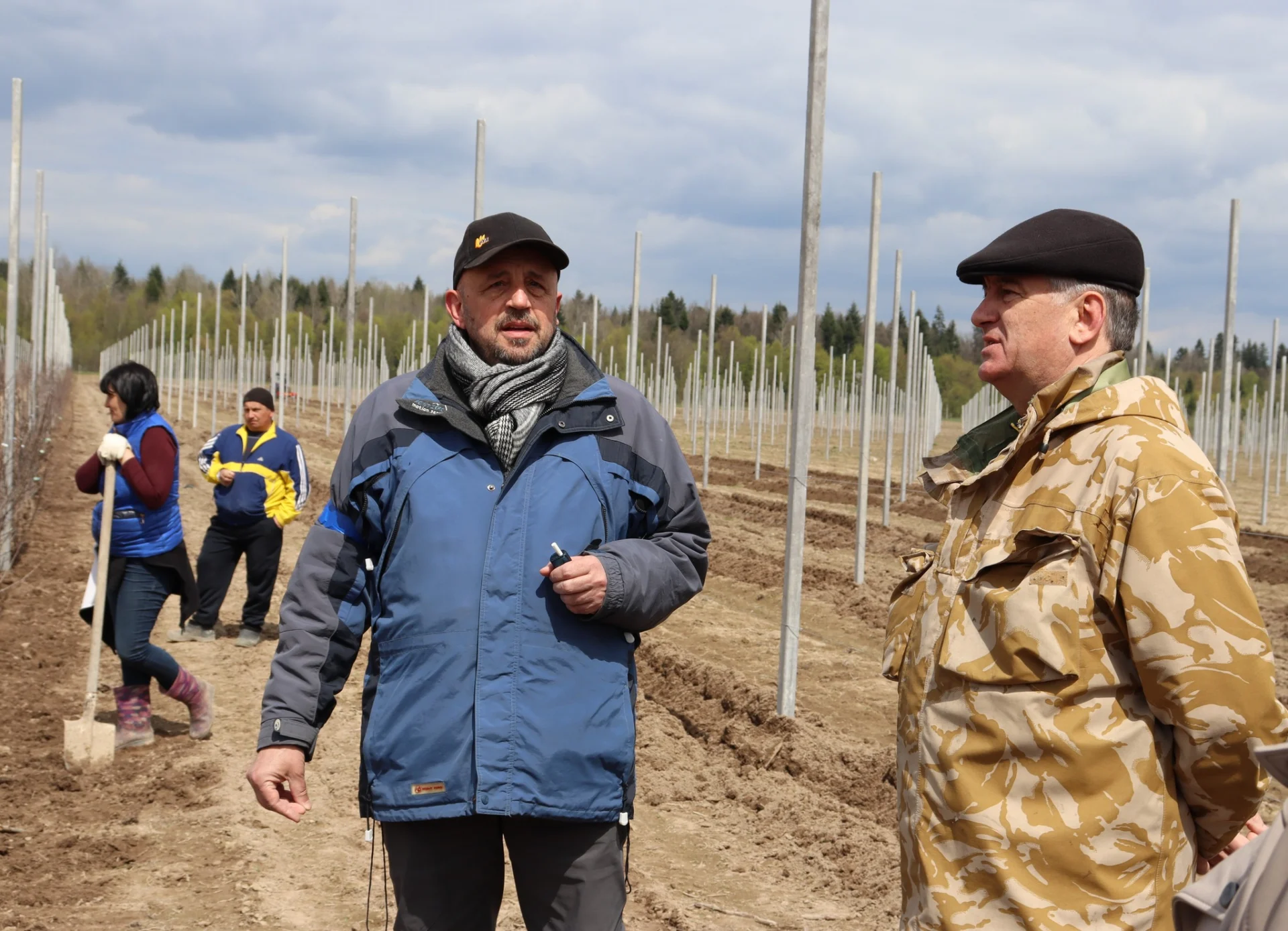 В Солотвинській територіальній громаді почали висадку фруктових дерев.