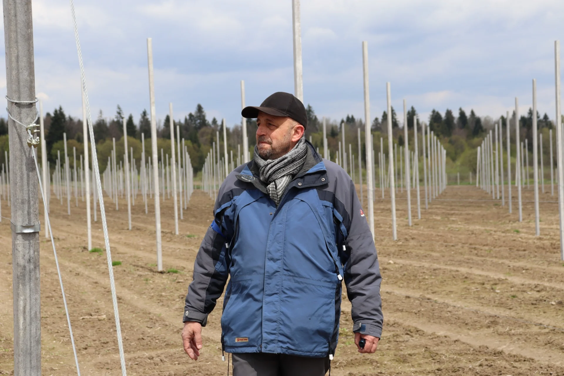 В Солотвинській територіальній громаді почали висадку фруктових дерев.