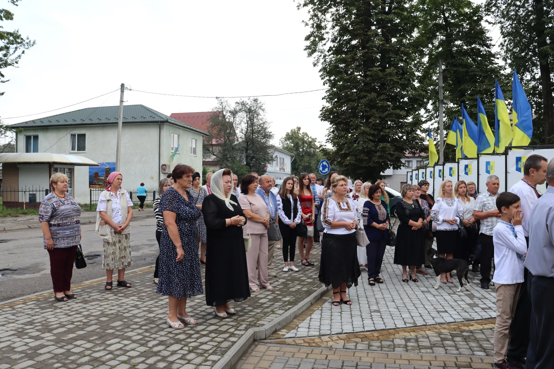 У Солотвинській громаді відбулося пам'ятне віче