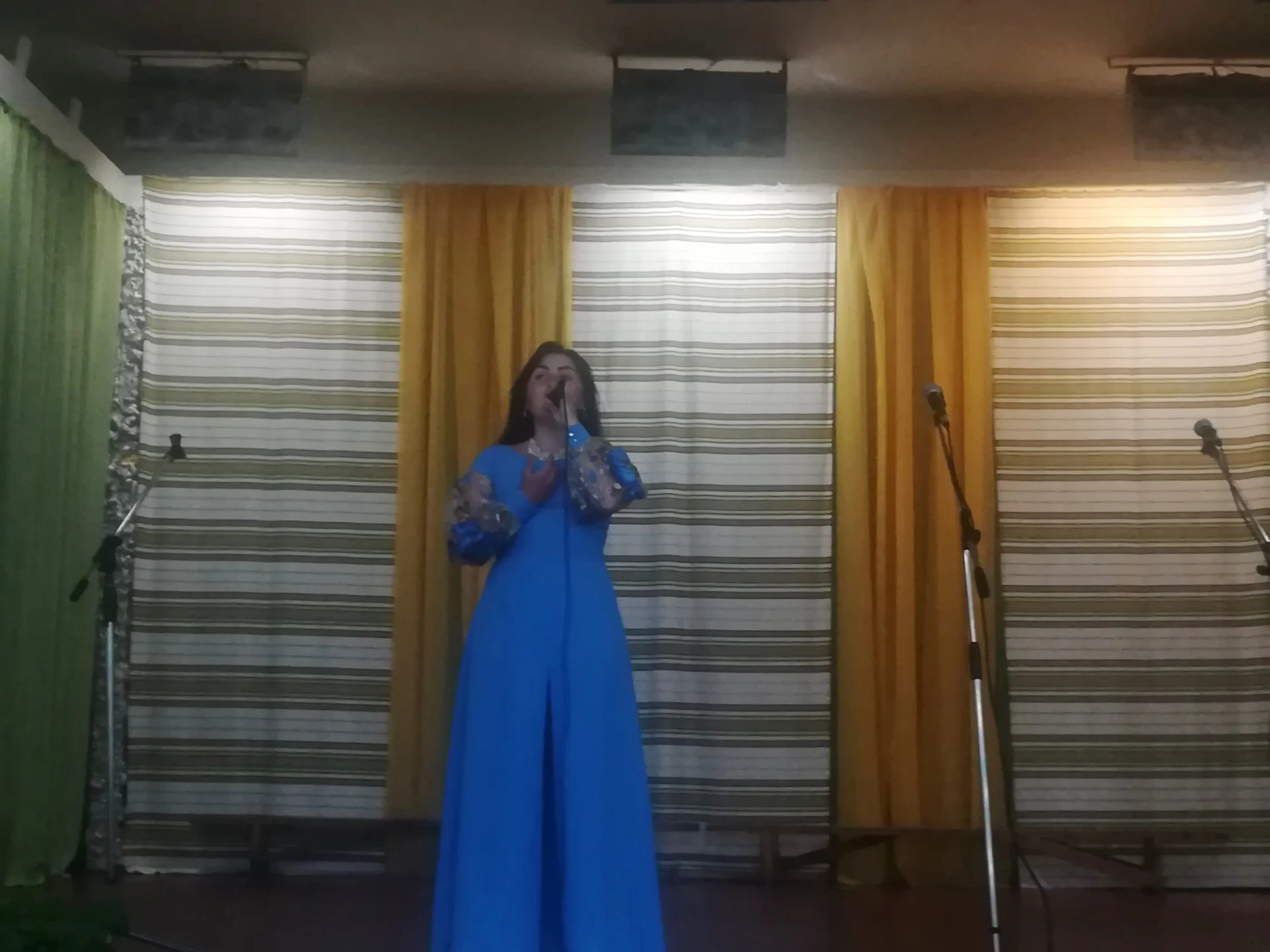 У Солотвинській територіальній громаді відзначили День Конституції України