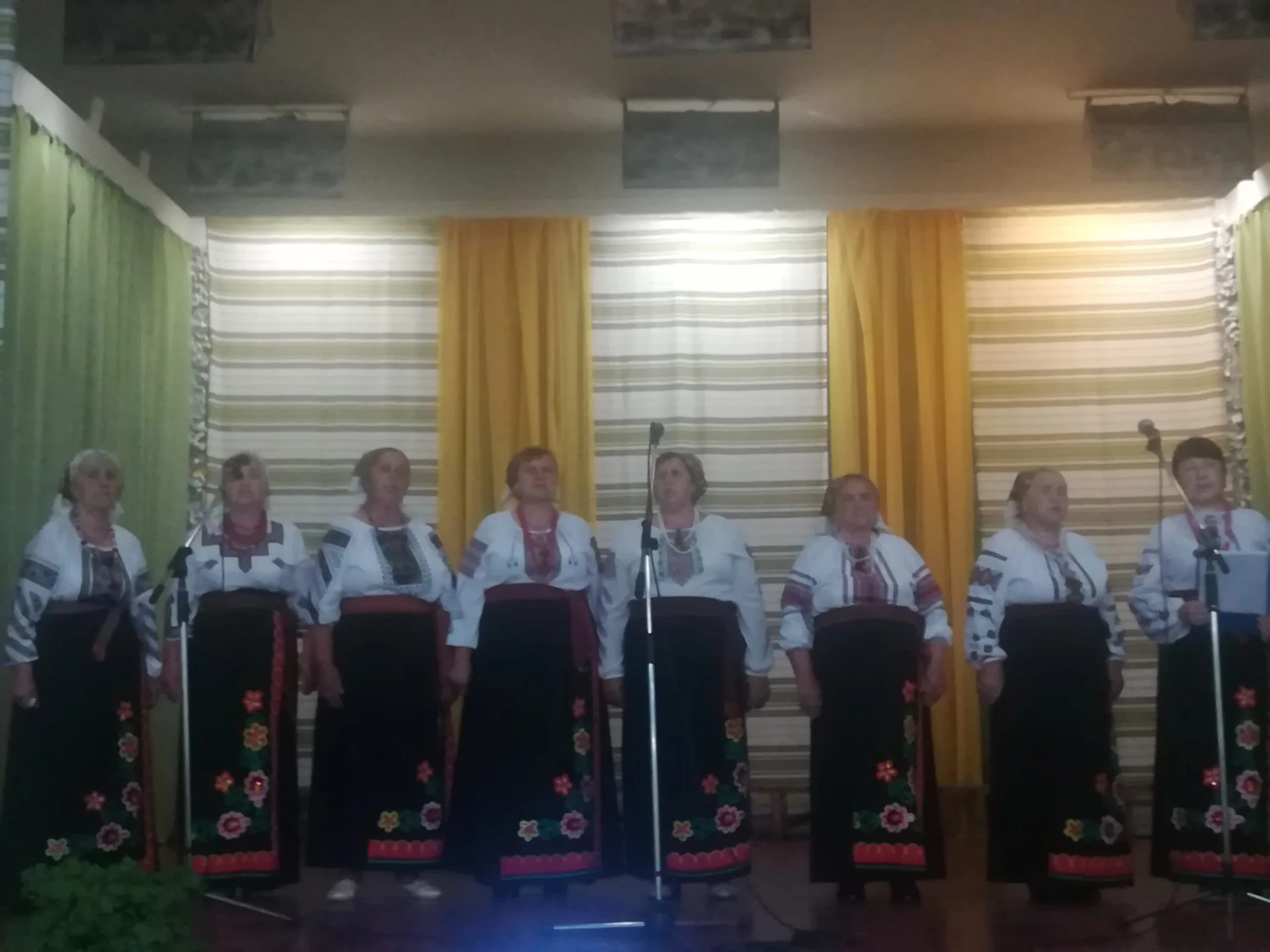 У Солотвинській територіальній громаді відзначили День Конституції України